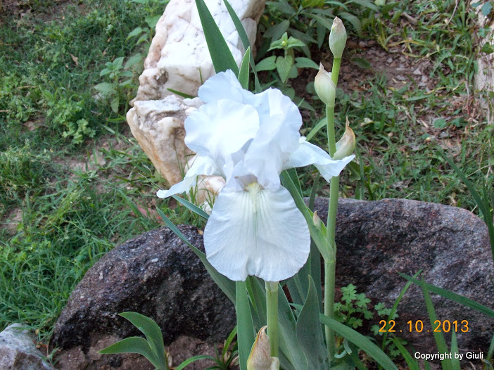 DSCN1067.JPG
