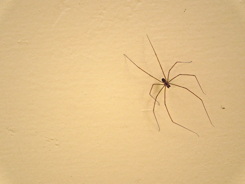 DSCN1067.JPG