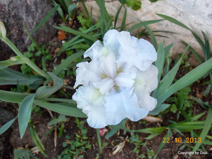 DSCN1068.JPG