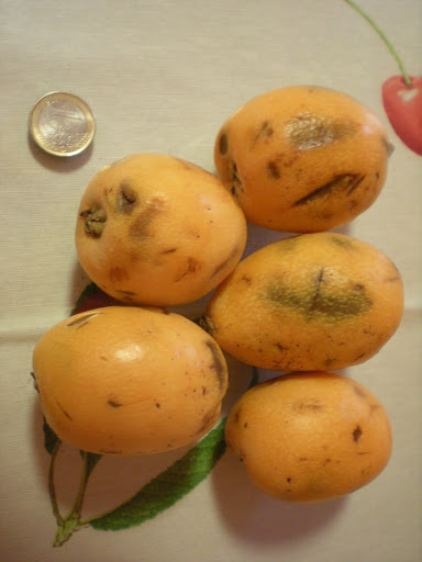 DSCN1070.JPG