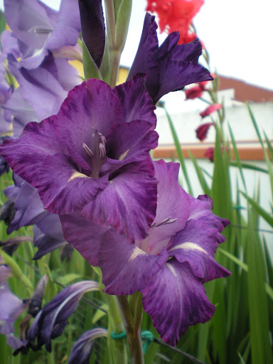 DSCN1072.JPG