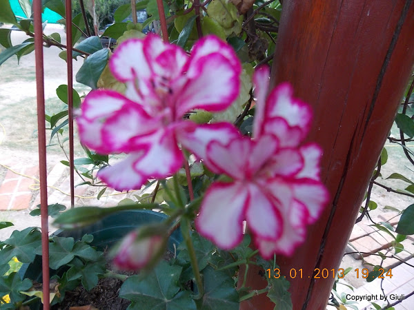 DSCN1072.JPG
