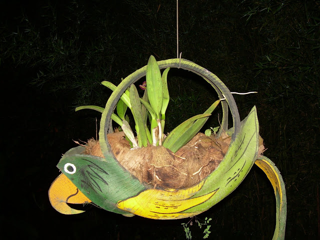 DSCN1078.JPG