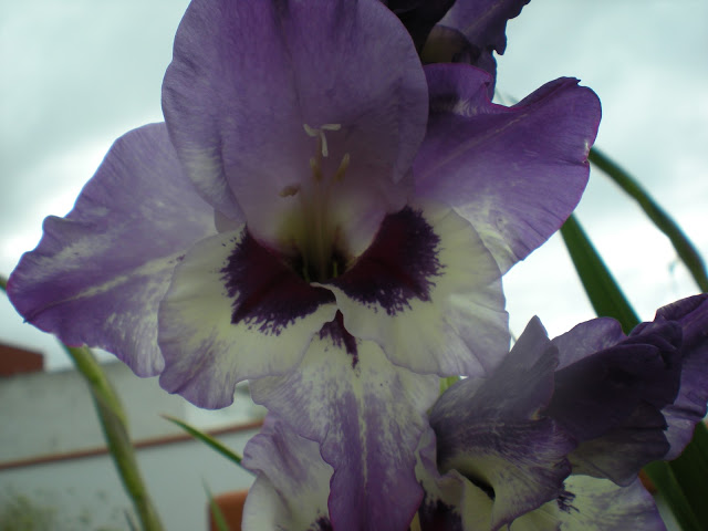 DSCN1078.JPG