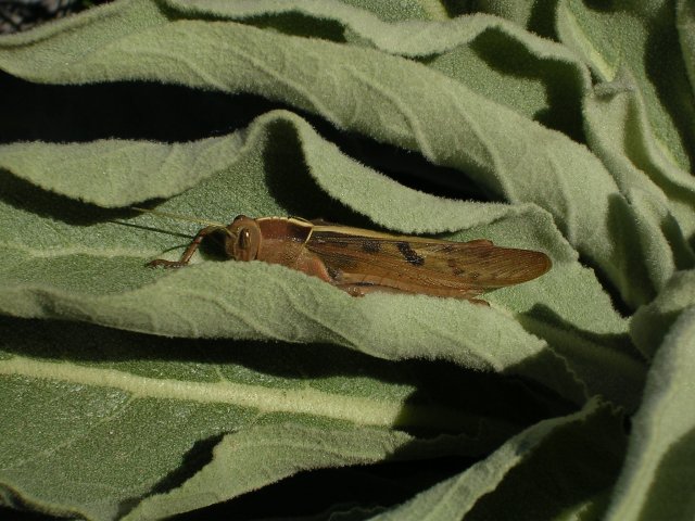DSCN1084.jpg