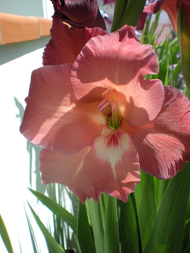 DSCN1087.JPG