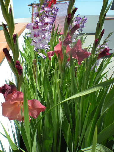 DSCN1089.JPG