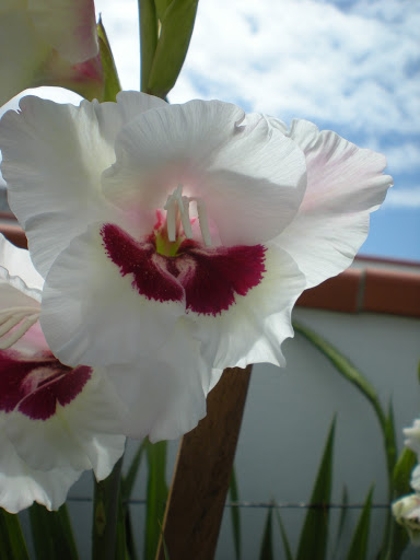 DSCN1097.JPG