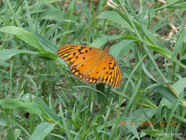 DSCN1097.JPG