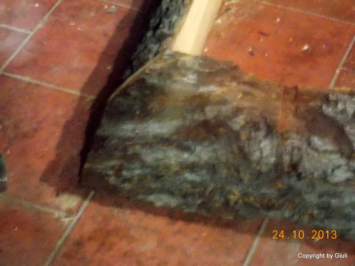 DSCN1097.JPG