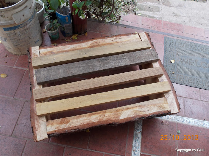 DSCN1099.JPG
