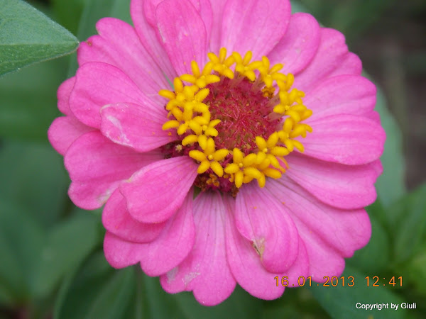 DSCN1102.JPG