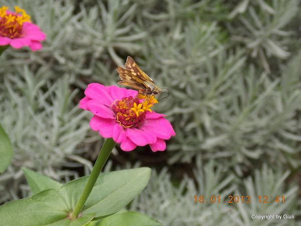DSCN1103.JPG
