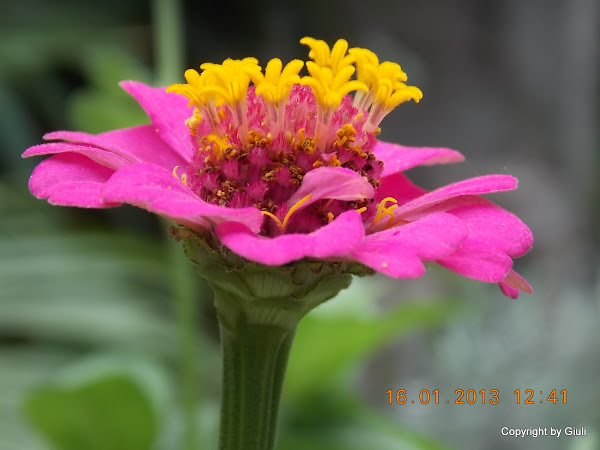 DSCN1104.JPG