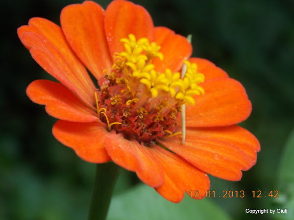 DSCN1105.JPG