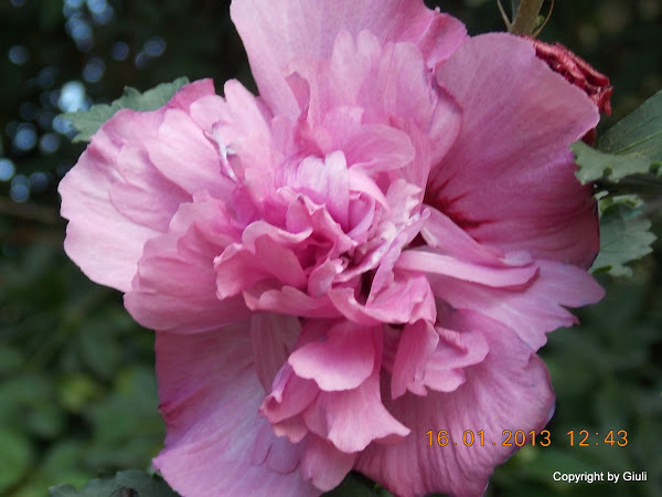 DSCN1106.JPG