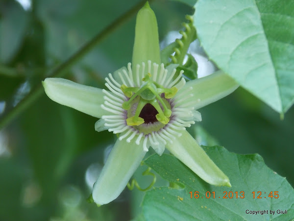 DSCN1109.JPG