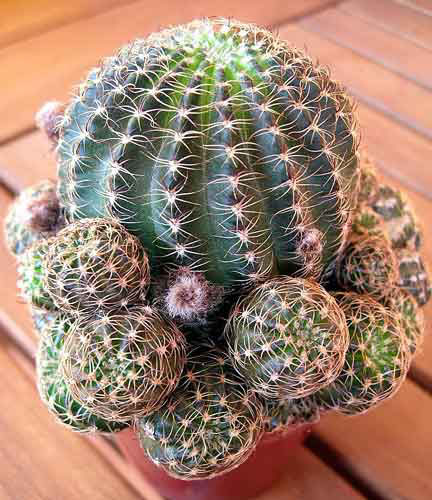 DSCN1112.JPG