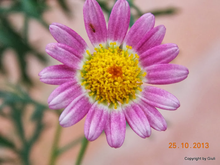 DSCN1123.JPG