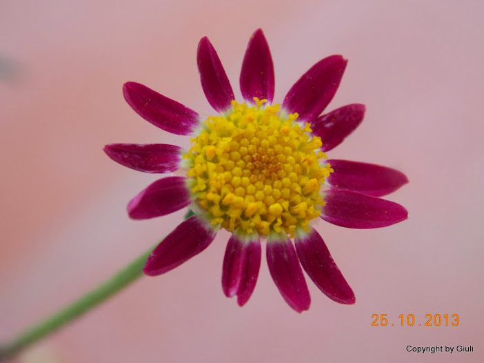 DSCN1124.JPG