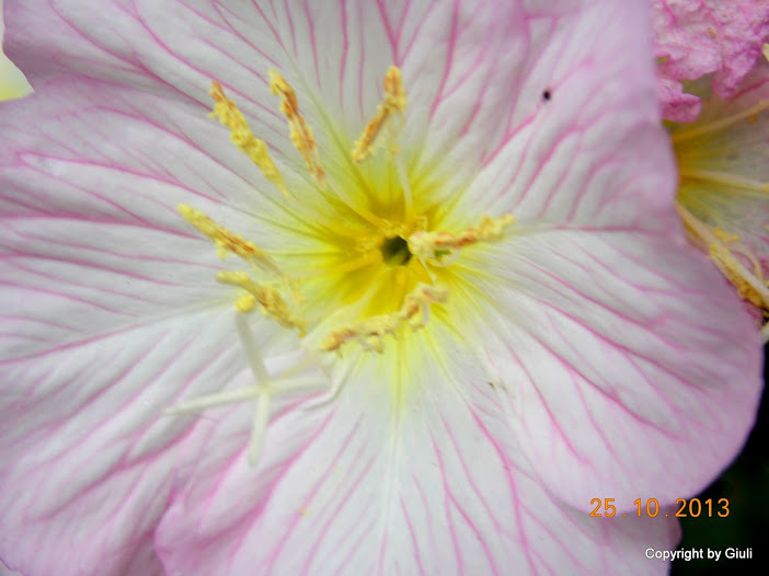 DSCN1128.JPG