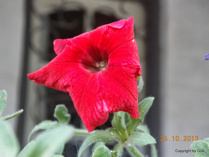 DSCN1130.JPG