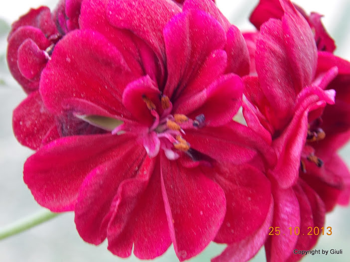 DSCN1134.JPG