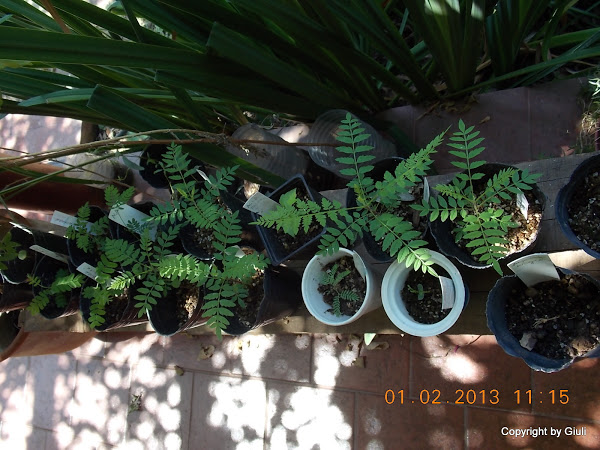 DSCN1139.JPG