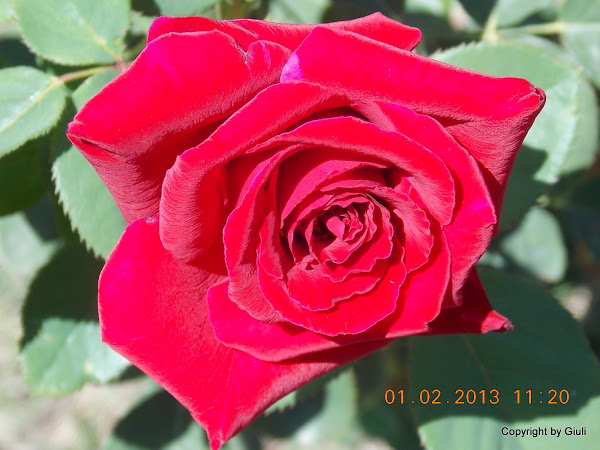 DSCN1141.JPG