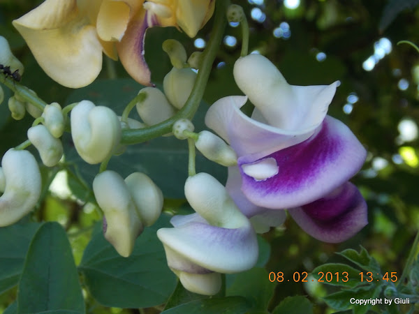 DSCN1148.JPG