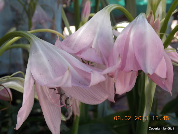 DSCN1149.JPG