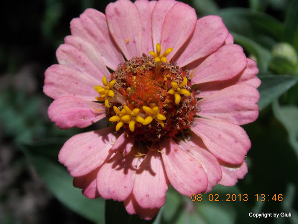 DSCN1151.JPG