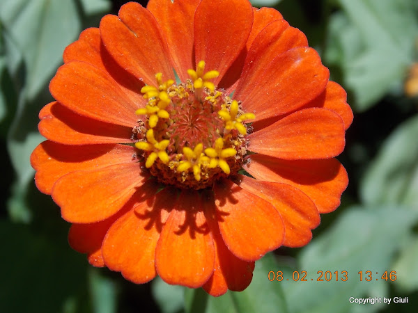 DSCN1152.JPG