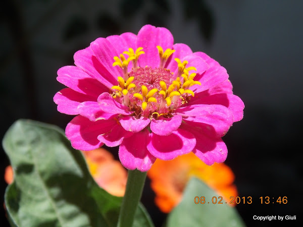 DSCN1153.JPG