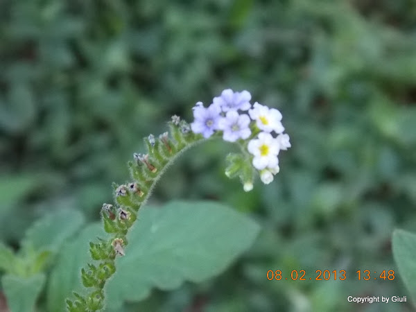 DSCN1155.JPG