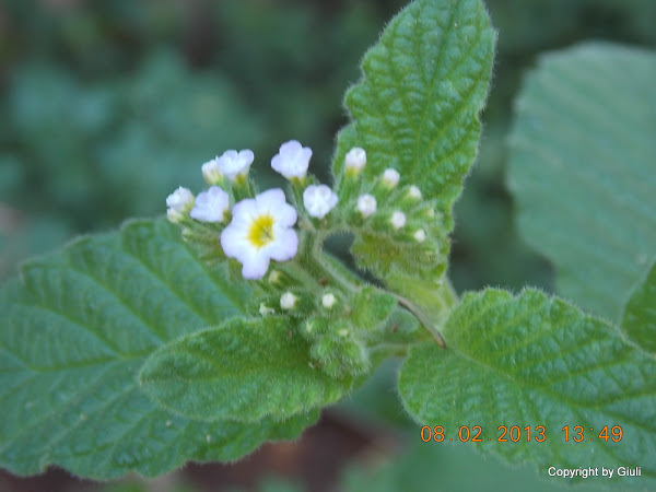 DSCN1156.JPG