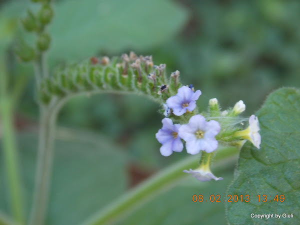 DSCN1157.JPG