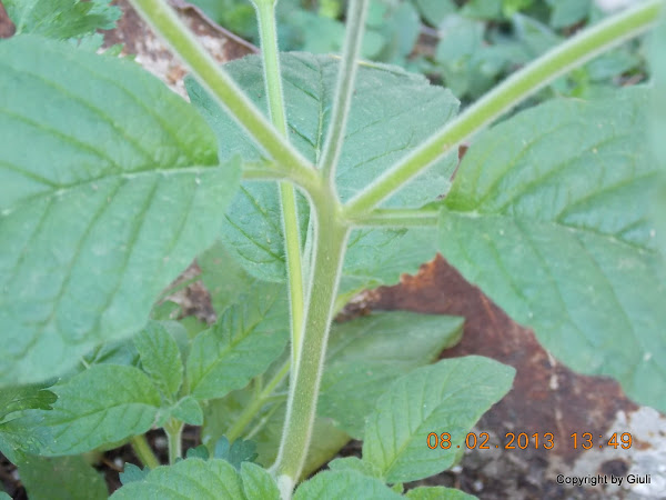 DSCN1158.JPG