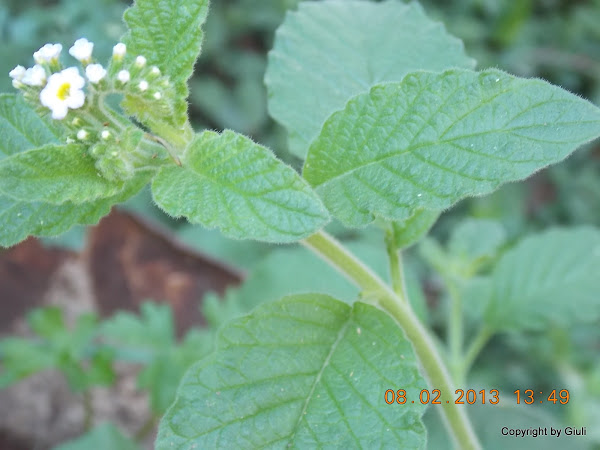 DSCN1159.JPG