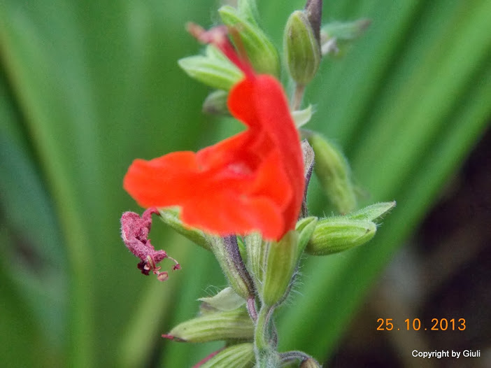 DSCN1159.JPG