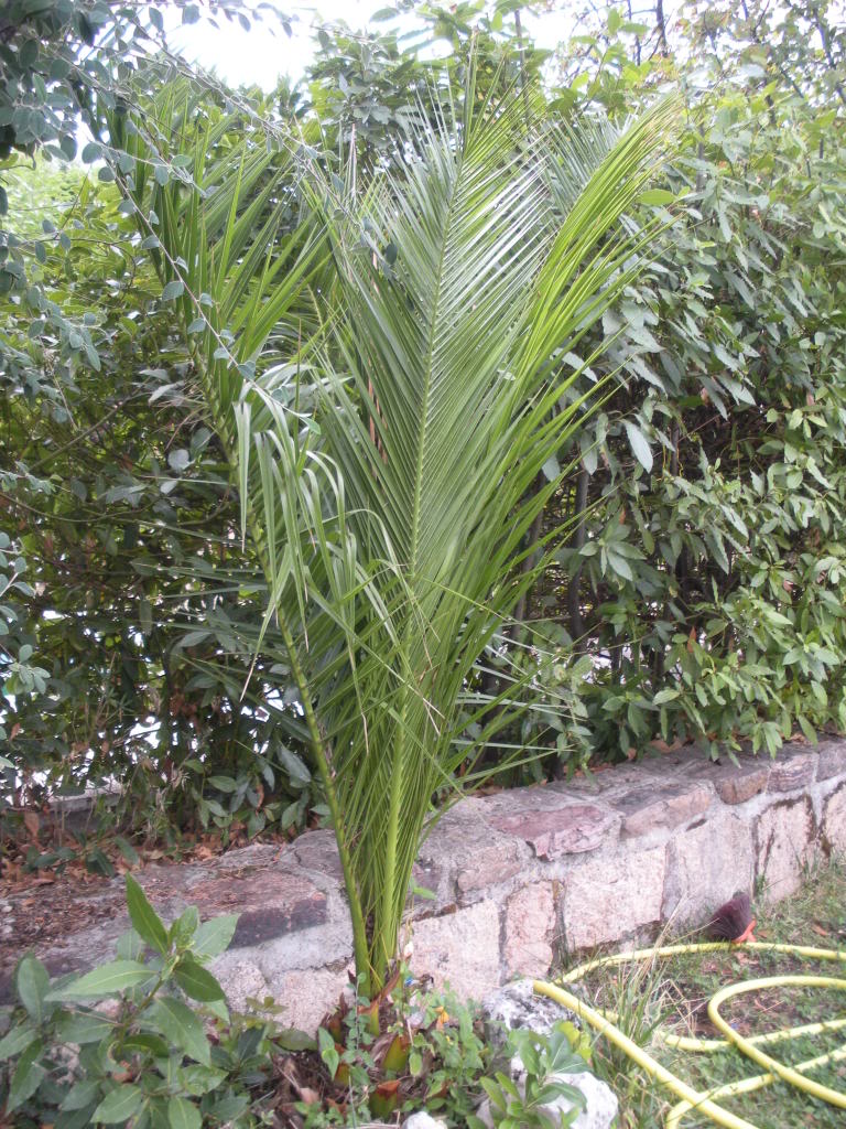 DSCN1168.jpg