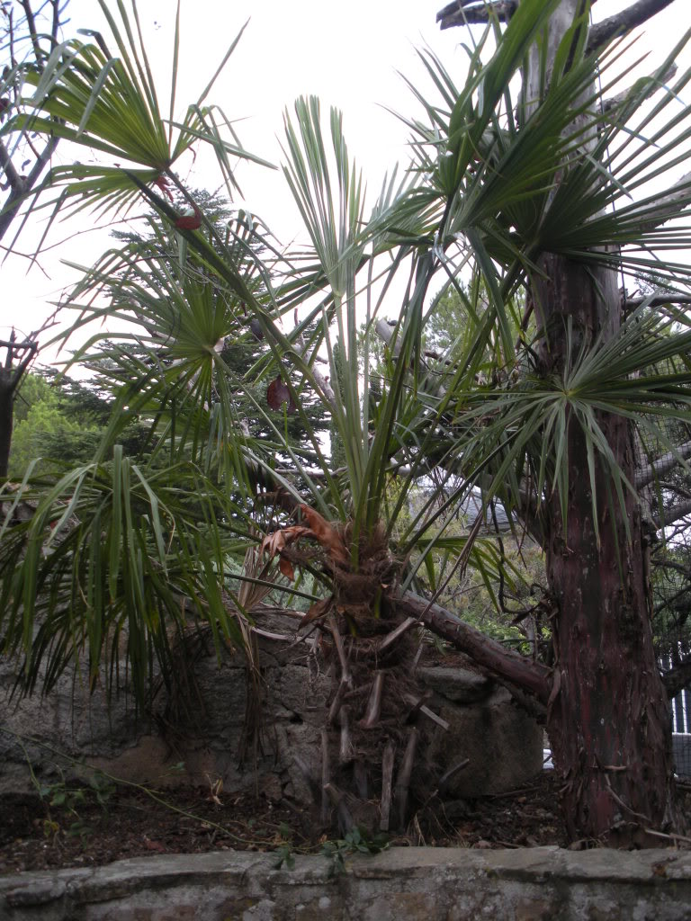 DSCN1172.jpg