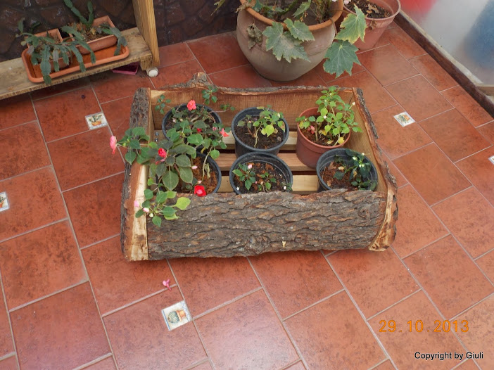 DSCN1173.JPG