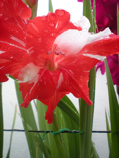 DSCN1174.JPG