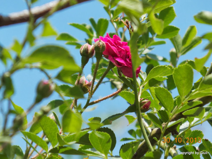DSCN1188.JPG
