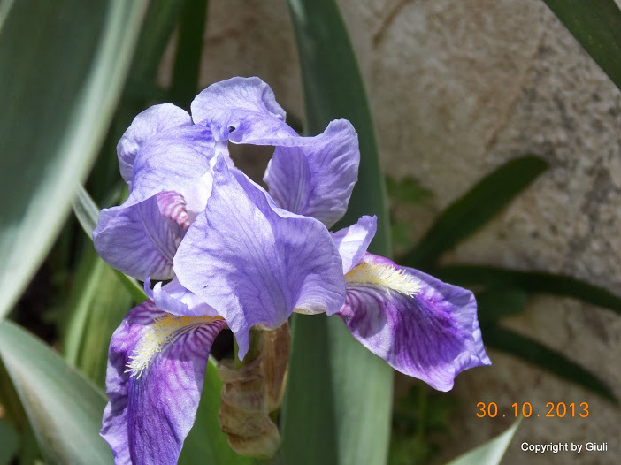 DSCN1191.JPG