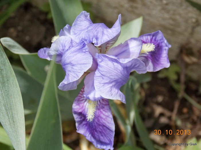 DSCN1194.JPG