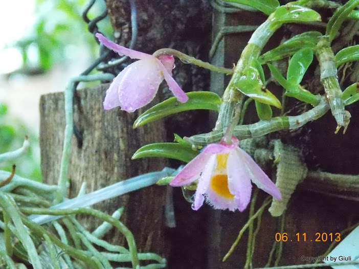 DSCN1225.JPG