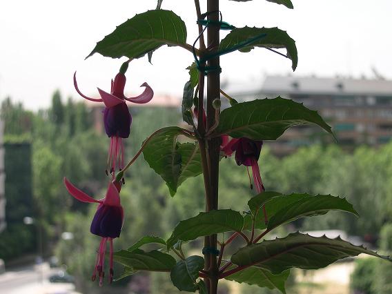 DSCN1227.JPG