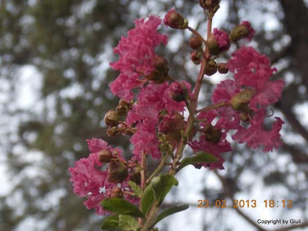 DSCN1227.JPG